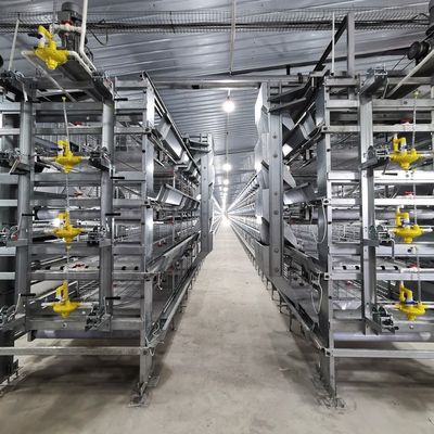 Multi-Level H Frame Broiler Housing Cage Durable Galvanized Steel Poultry Equipment for Commercial Grow-out Farms