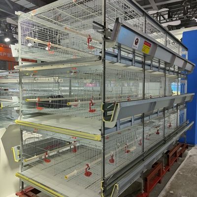Automatisches H-Type Baby Chick Breeding Cage System mit Heißdippverzinkung und 100-300 Hühner/Set Kapazität