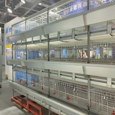 Automatisches H-Type Baby Chick Cage System mit verzinktem Stahl und 100-300 Hühner/Set Kapazität