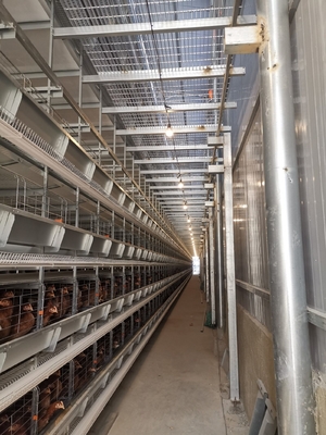 1950×2300×2000 Poultry Farm Laying Hens Cage A Type 3,4 Tiers Egg Layer Chicken Cages For Chicken Coops