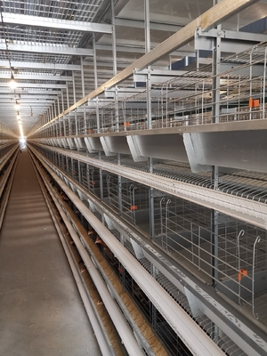 1950×2300×2000 Poultry Farm Laying Hens Cage A Type 3,4 Tiers Egg Layer Chicken Cages For Chicken Coops