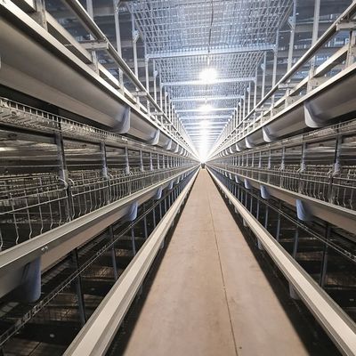 Feuerverzinkter Schichtkäfig vom Typ H, automatisierter Geflügelkäfig mit hoher Kapazität und automatischer Fütterung für große Geflügelfarmen