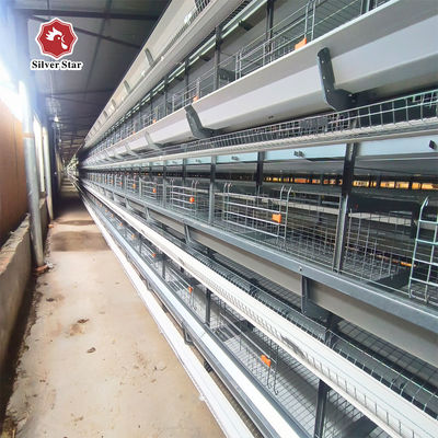 Increase Egg Production with Our Layer Cage System Battery Cage for Layer Chickens