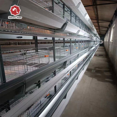 Commercial Layer Battery Cage for 20,000+ Birds Farm Design High-Density Automatic Layer Battery Cage for Mega Farms