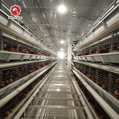 H-Type Automatic Broiler Battery Cage System with Hot-Dip Galvanized Steel and 3 or 4 Tiers for High-Density Poultry Farming