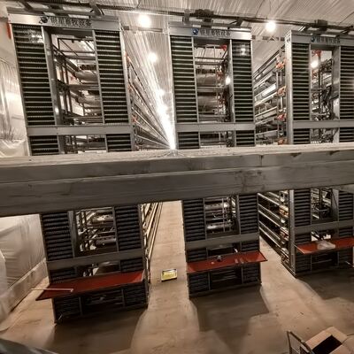 Schwerer Batterie-Hühnerkäfig zur Optimierung der Eierproduktion und Verbesserung der Geflügelgesundheit in gewerblichen Farmen