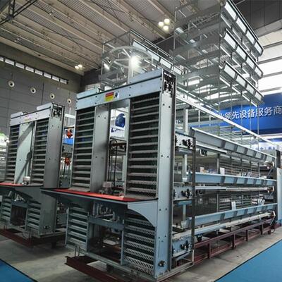 Full Automatic H-Type Layer Chicken Cage with Hot Dip Galvanized Drinkers and Feeders for Poultry Farm
