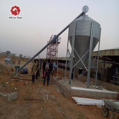 Turnkey H-Type Layer Battery Cage System for 50,000+ Birds with Hot-Dip Galvanized Steel and Full Automation
