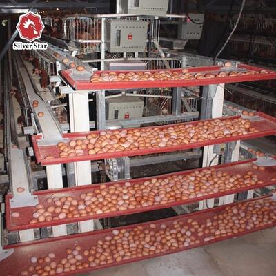 Hot-Dip Galvanized Steel A-Type Layer Batterie Käfig System mit 3 Ebenen und automatische Fütterung für Geflügelfarmen