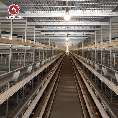 Automatic Battery Layer Cage System for Poultry Farm Egg Chicken Cage Equipment