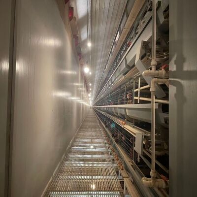 Batterie Hühnerkäfige Korrosionsbeständige langlebige Geflügel-Ausrüstung geeignet für Großbetriebe