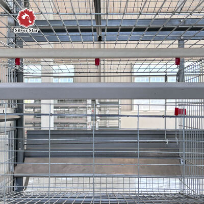 Hot Dip Galvanized Steel H-Type Layer Battery Cage System for Commercial-Scale Poultry Farms with High Capacity 20000+ Birds and Full Automation