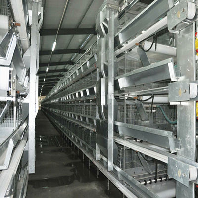 H-Typ automatisches Batteriekäfigsystem mit Warmdippverzinkung und stapelbarem Modulentwurf für die kommerzielle Geflügelzucht