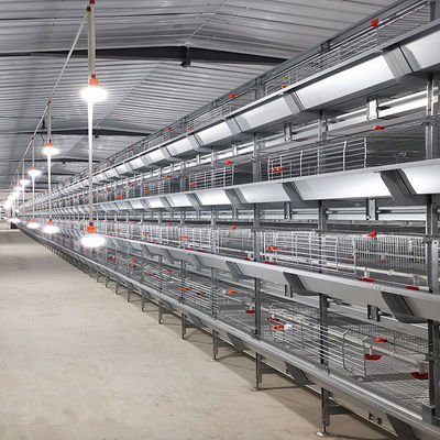Vollautomatisches H-Typ-Broiler-Hühnerkäfigsystem mit automatischer Fütterung und Reinigung für kommerzielle Fleischhühnerfarmen mit hoher Dichte