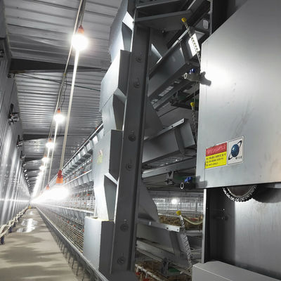 Fully Automated Hot-Dip Galvanized H-Type Broiler Cage System for High-Density Poultry Farming