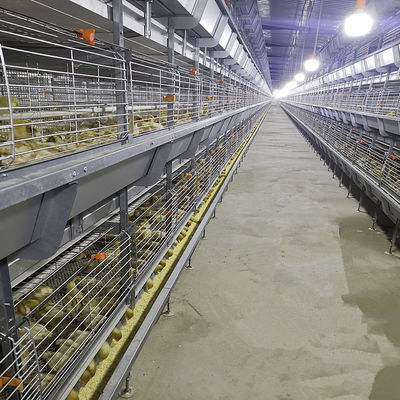 Fully Automatic Hot-Dip Galvanized H-Type Broiler Chicken Cage for High-Density Poultry Farming