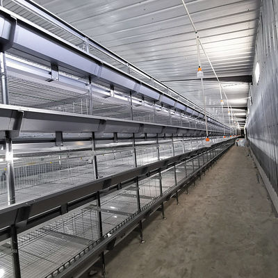 Fully Automatic Hot-Dip Galvanized H-Type Broiler Chicken Cage for High-Density Poultry Farming