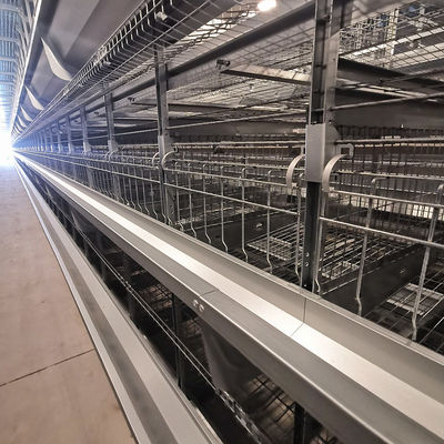 Factory Direct H-Type Broiler Battery Cage System with Hot-Dip Galvanizing, Soft Plastic Mesh Mats & Automatic PP Belt Manure Cleaning