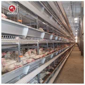 72 Chickens Hot Galvanized Layer Poultry Cage Poultry Farm House