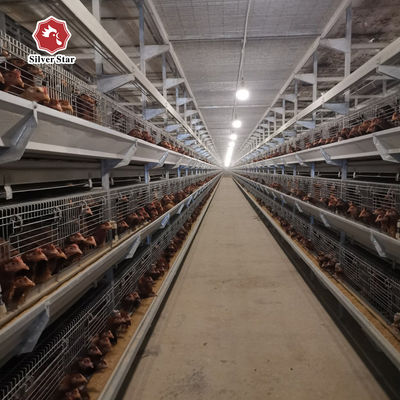 Handelsübliches H-Typ-Käfigsystem für Broiler für Großviehzuchtbetriebe