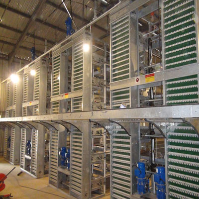 Vollautomatisches H-Typ-Broiler-Batteriekäfigsystem mit feuerverzinktem Rahmen für kommerzielle Fleischhühnerfarmen mit hoher Dichte