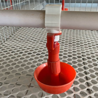 Automated H-Type Broiler Cage System for High-Density Commercial Poultry Farming with Hot-Dip Galvanized Protection