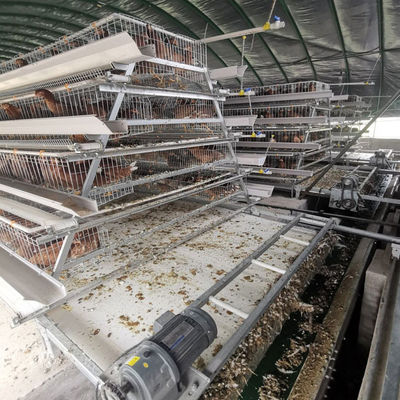 Best A Type Layer Chicken Cage Manufacturer One-Stop Poultry Farm Solution